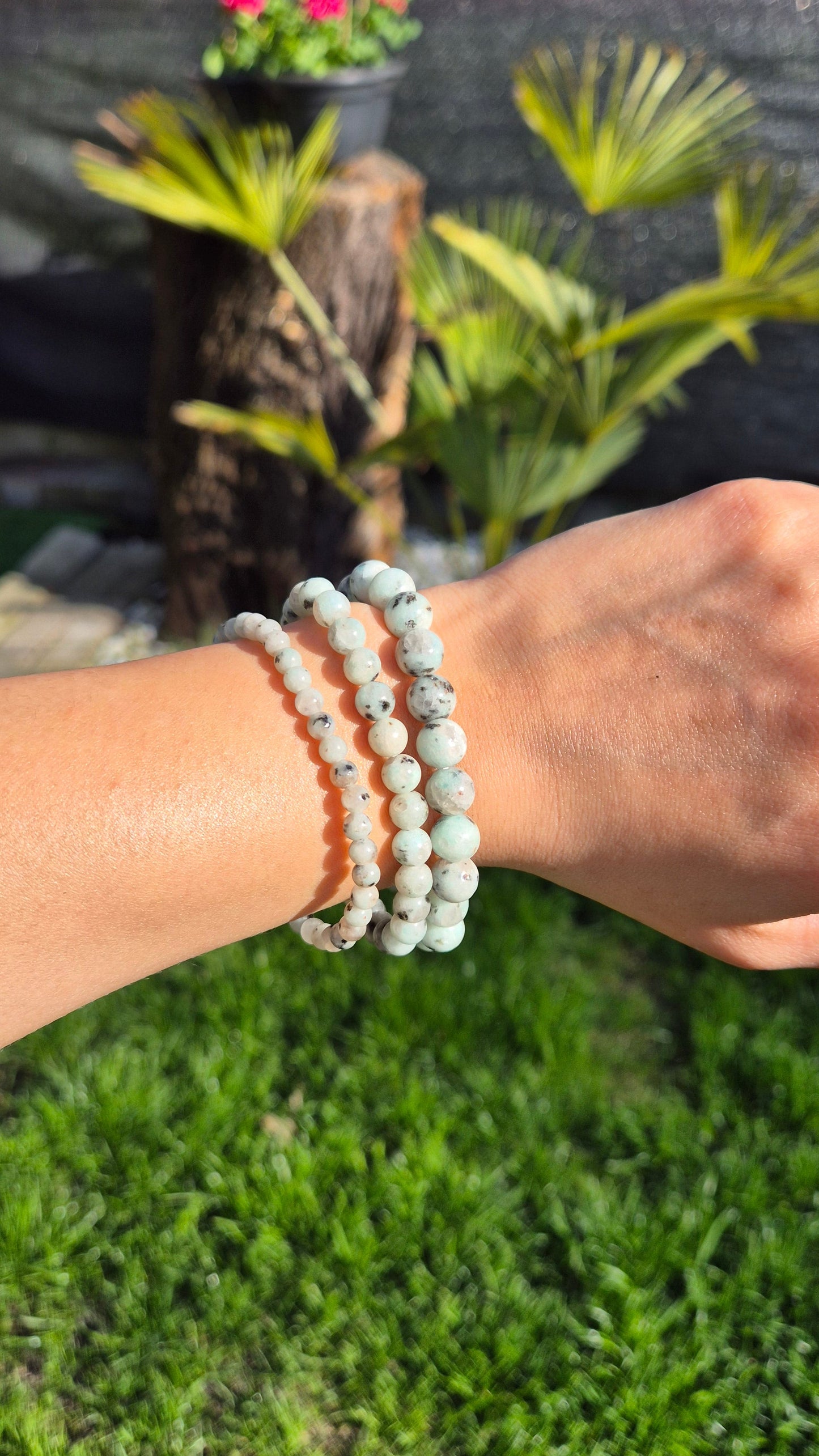 Kiwi jaspis Armband - Verschillende Maten