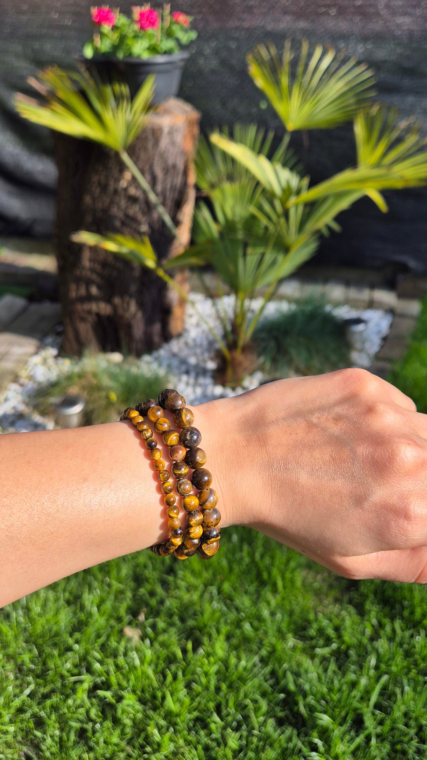 Tijgeroog Armbanden - Verschillende Maten