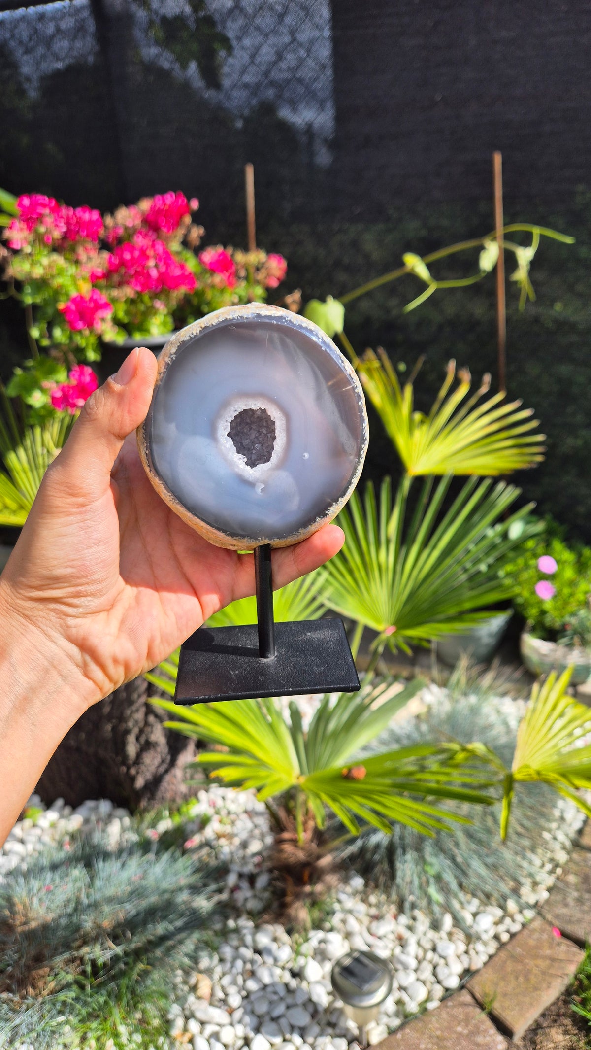 A hand holds a polished geode slice on a black display stand in a garden setting with green plants and pink flowers in the background.
