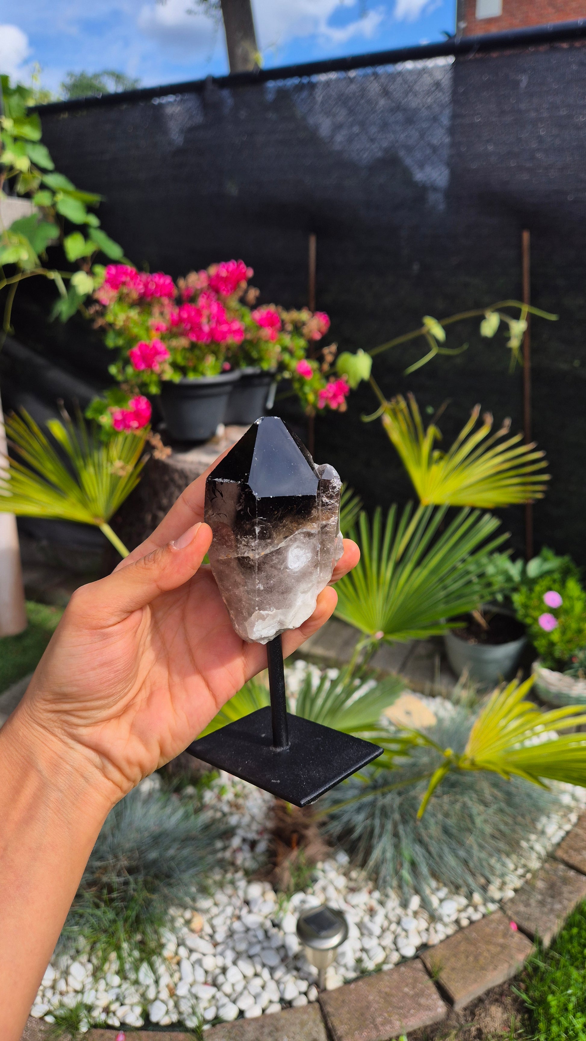 A hand holding a black geode crystal cluster on a black display stand in an outdoor garden setting with potted pink flowers and green plants in the background.