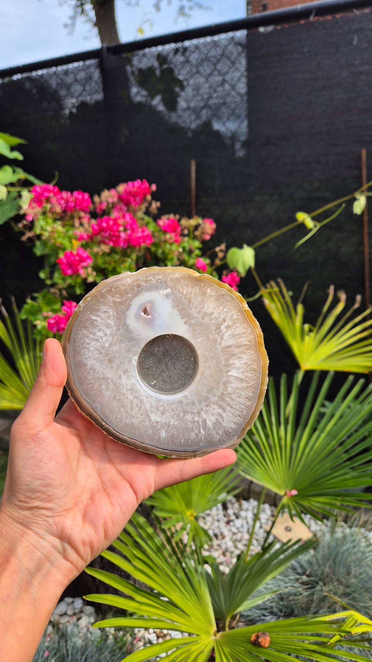 A hand holds a large polished stone slice with a circular hole in the center, set against a garden background with green plants and pink flowers.