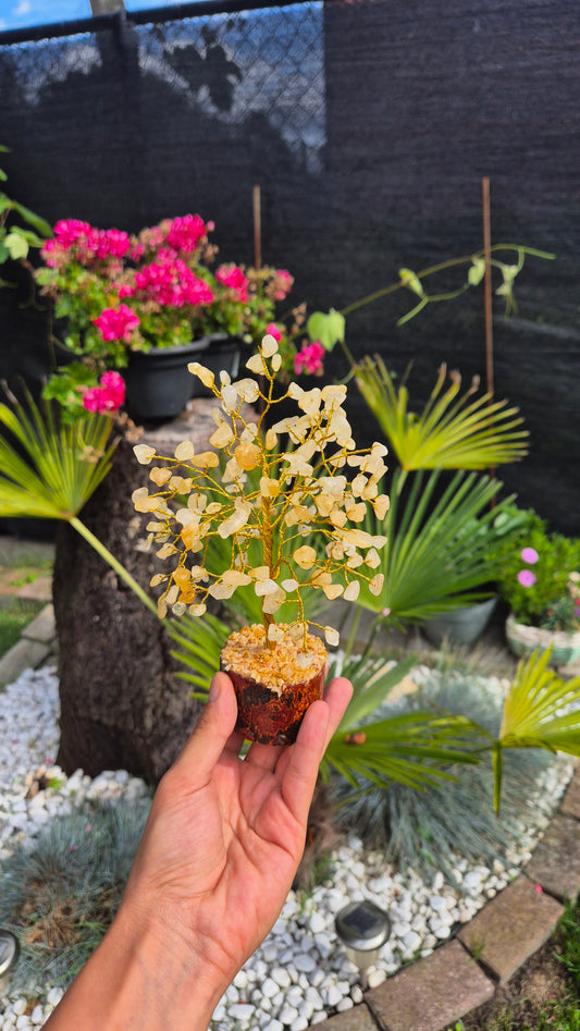 A hand holding a small potted plant with delicate pale yellow flowers in a garden setting with green foliage and pink flowers in the background.