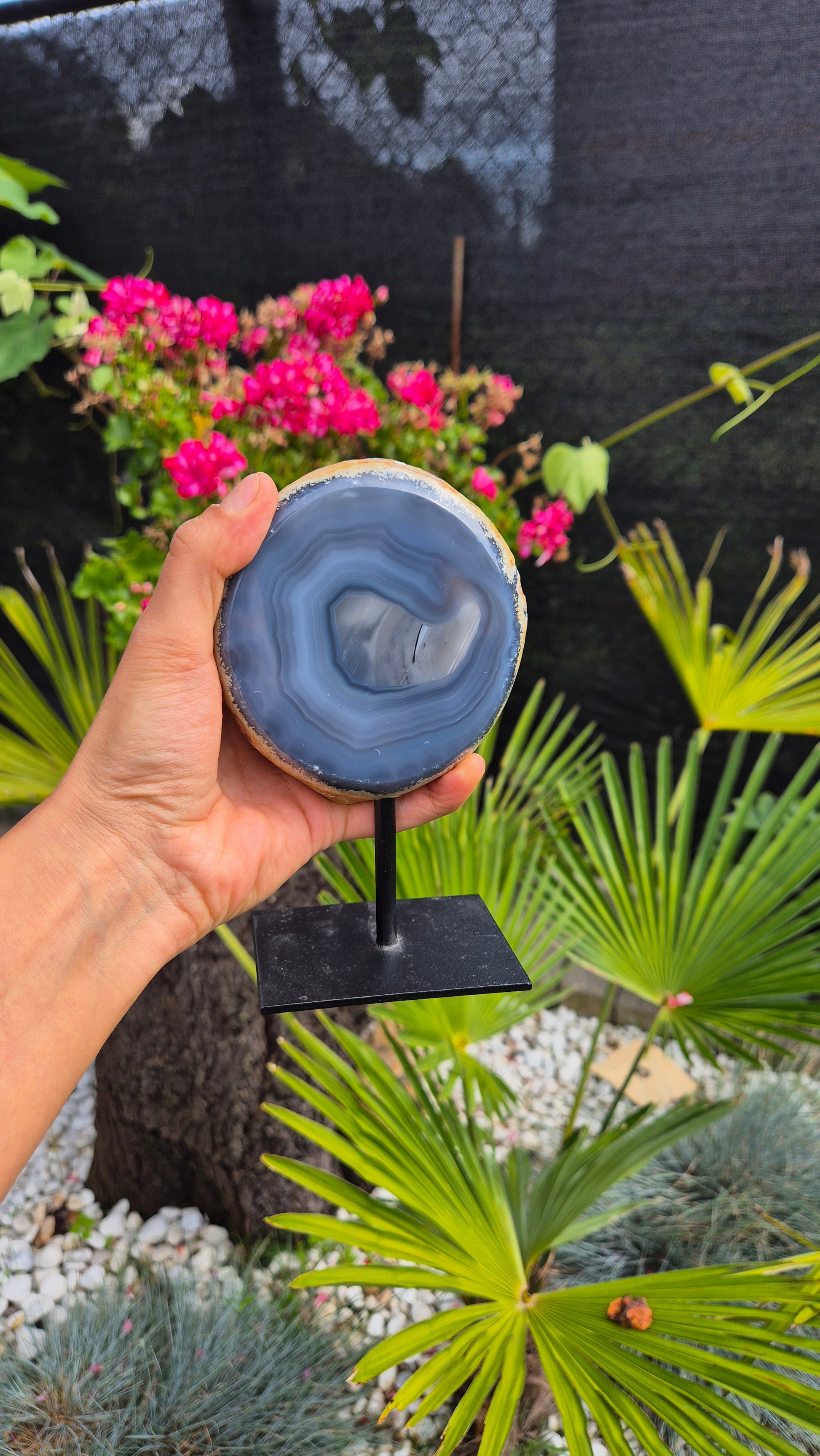A hand holds a polished blue agate geode slice on a black metal stand, set against a garden background with green palm leaves and pink flowers.