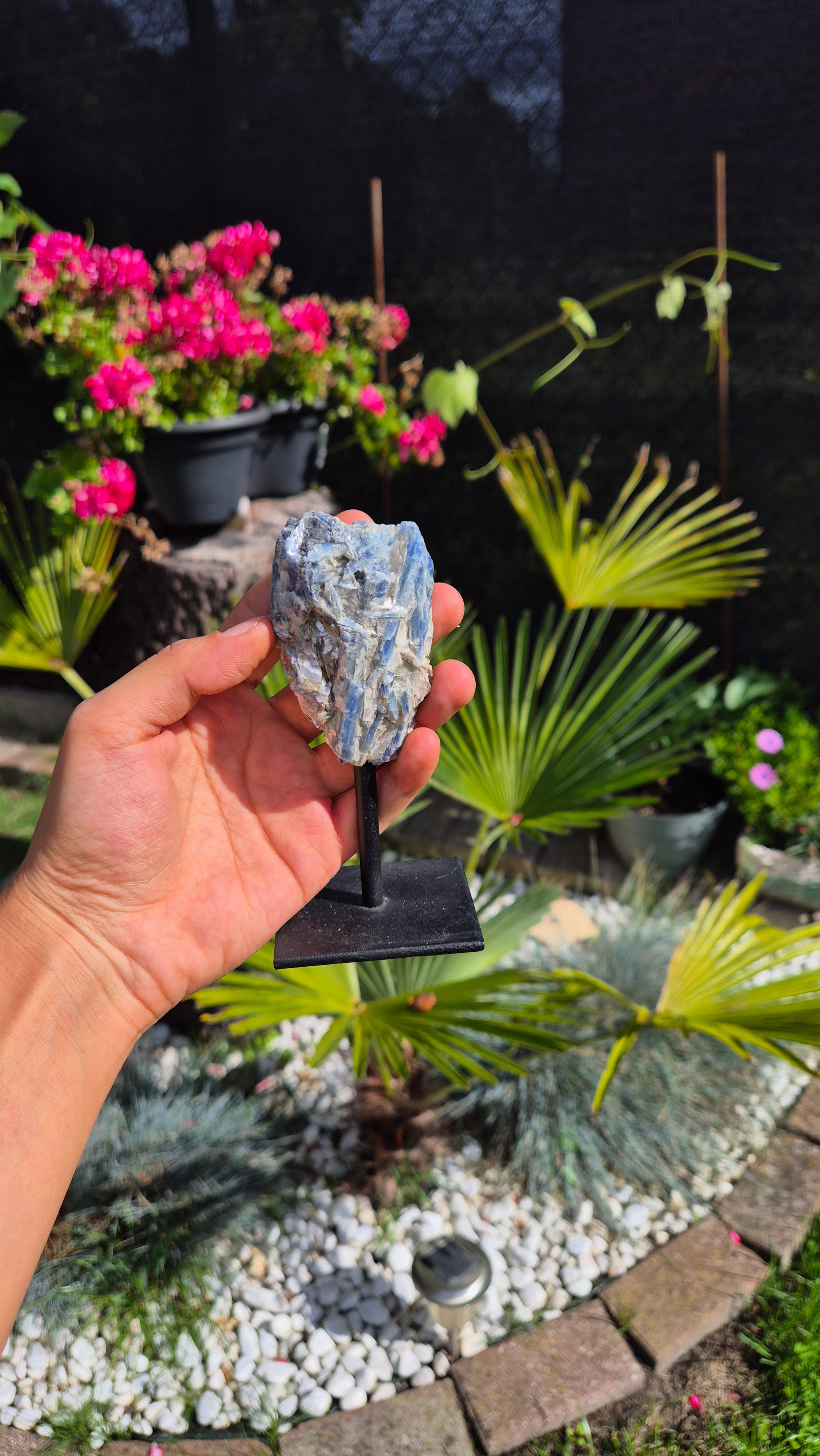 A hand holds a polished blue and white banded stone on a black display stand in a garden setting with potted pink flowers and green plants in the background.
