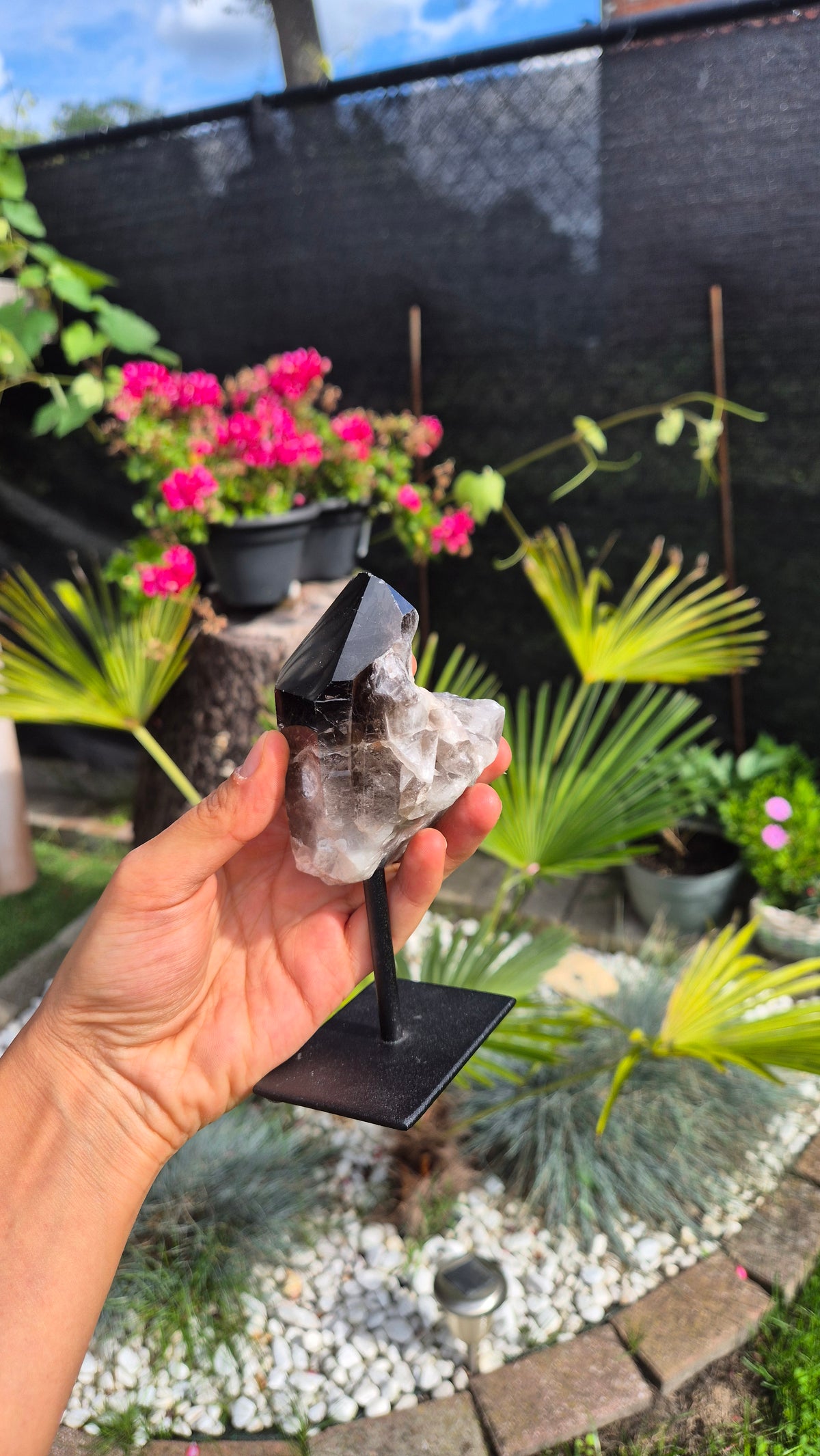 A hand holds a polished black and white crystal cluster on a black metal stand in a garden setting with plants and flowers in the background.