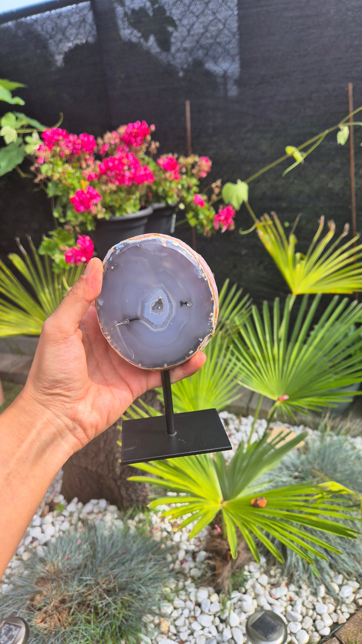 A hand holds a polished oval agate stone slice on a black metal stand, set against a garden background with green plants and pink flowers.