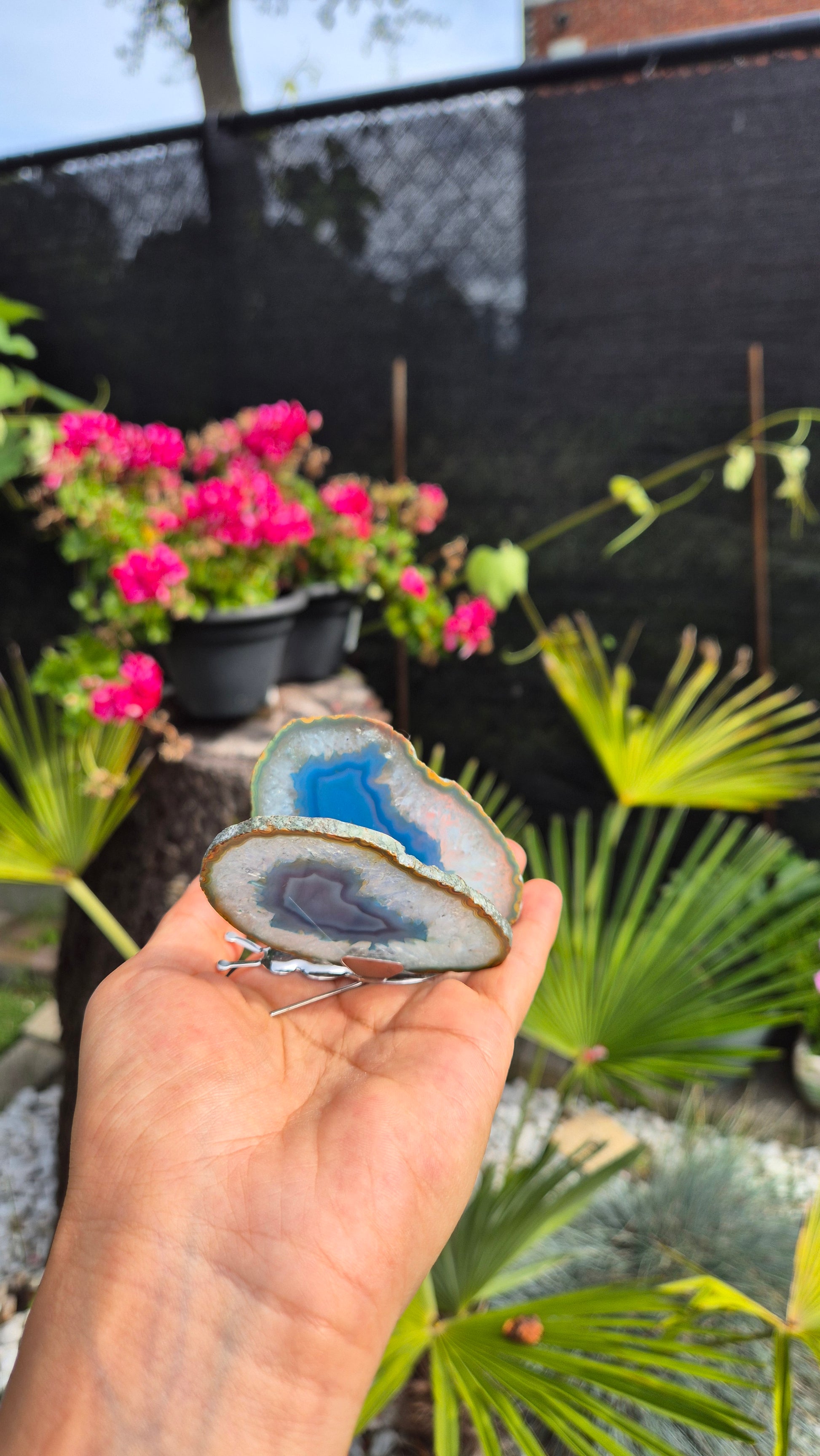 A hand holding a polished slice of blue agate geode, with a blurred garden background featuring pink flowers and green plants.