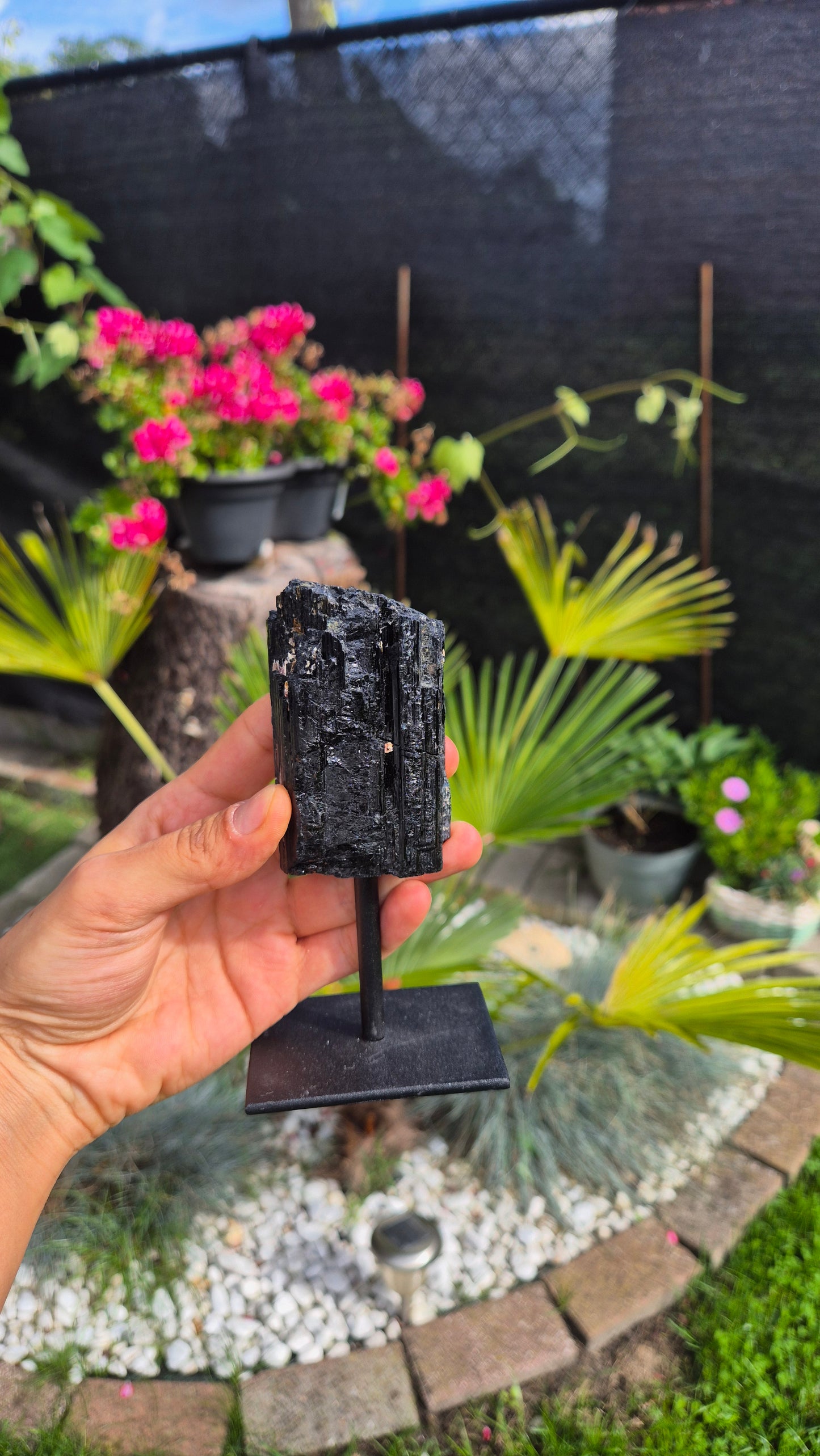 A hand holds a black mineral specimen on a black display stand in an outdoor garden setting with potted pink flowers and green plants in the background.